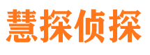 泉山市私家侦探